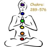 7. Herzens-Lichtkörperprozess nach Natara® Chakra 289–576