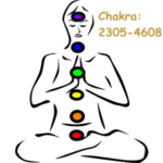 10. Herzens-Lichtkörperprozess nach Natara® Chakra 2305 bis 4608